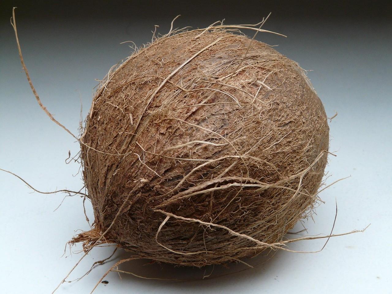 Cara Mengolah Sabut Kelapa Menjadi Pupuk Cair, Bagus Untuk Lingkungan